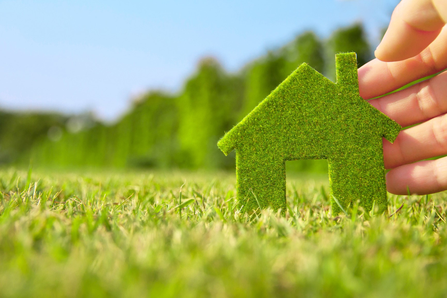 green home